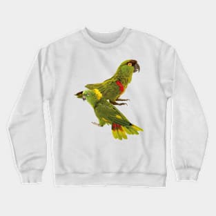 Parakeet and parrot Crewneck Sweatshirt